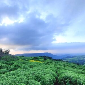 Mahabaleshwar Darshan – 3 (Adventure & Valley View Tour)